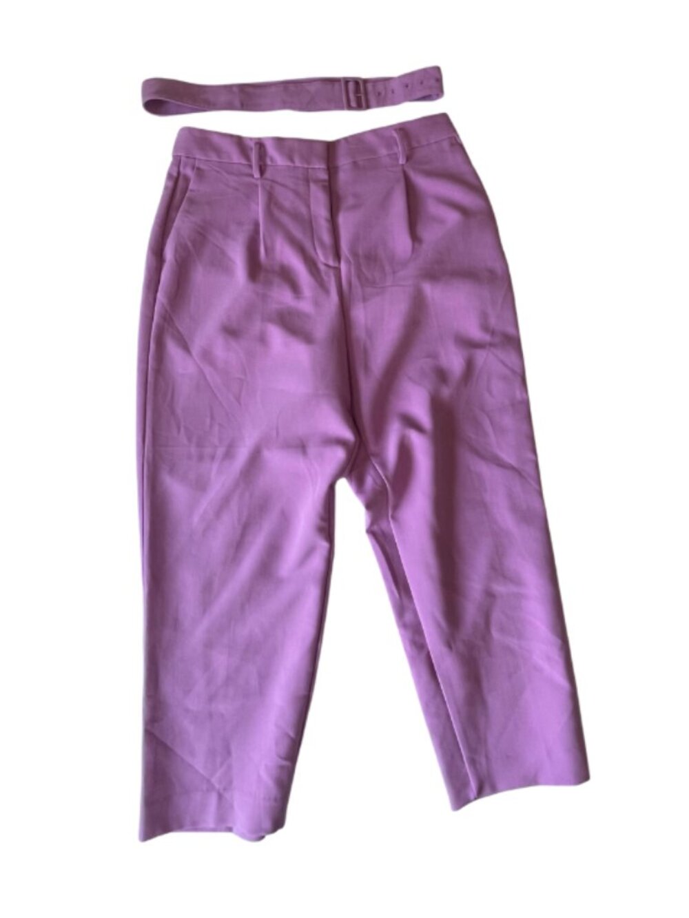 Ann Taylor Belted Pleated Trousers
